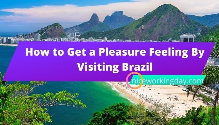 How to Get a Pleasure Feeling By Visiting Brazil