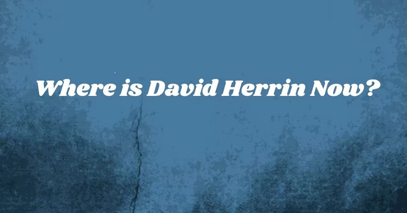 Where is David Herrin Now