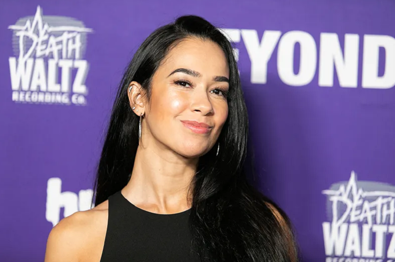 Does AJ Lee Have Kids