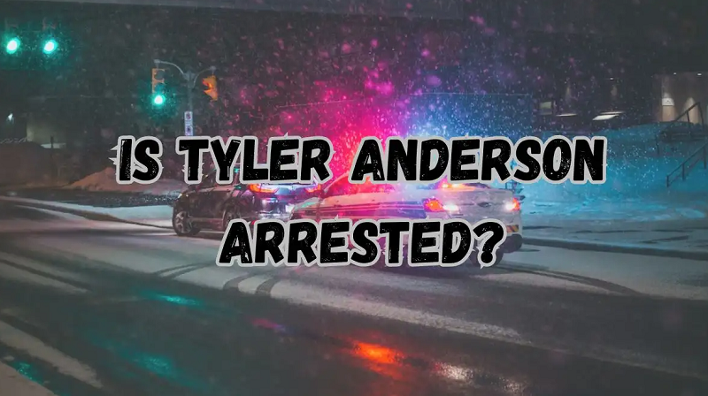 Is Tyler Anderson Arrested