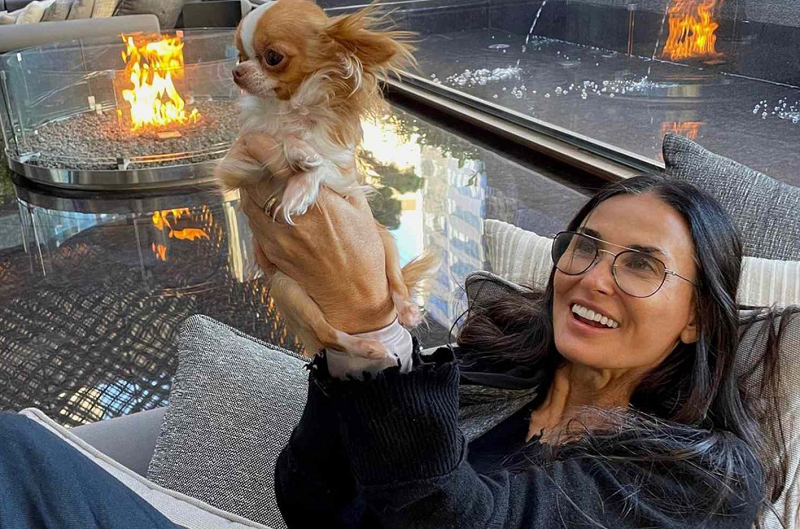 What Kind of Dog does Demi Moore Have