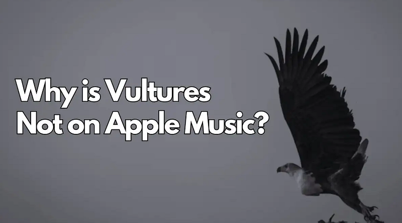 Why is Vultures Not on Apple Music
