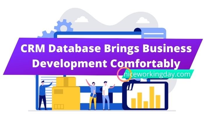 CRM Database Brings Business Development Comfortably