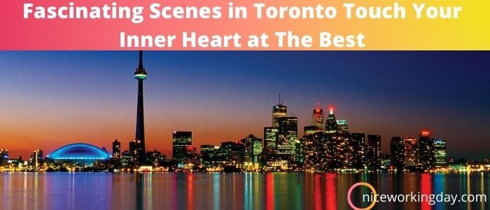 Fascinating Scenes in Toronto Touch Your Inner Heart at The Best