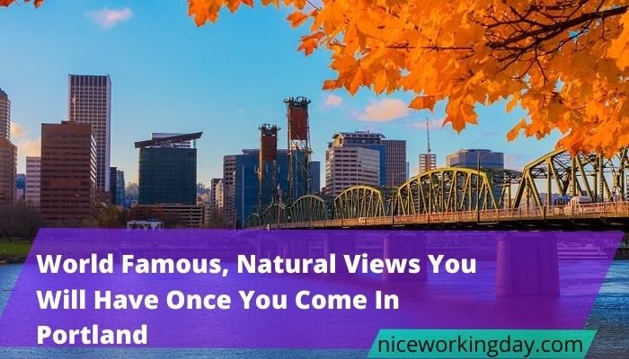 World Famous, Natural Views You Will Have Once You Come In Portland