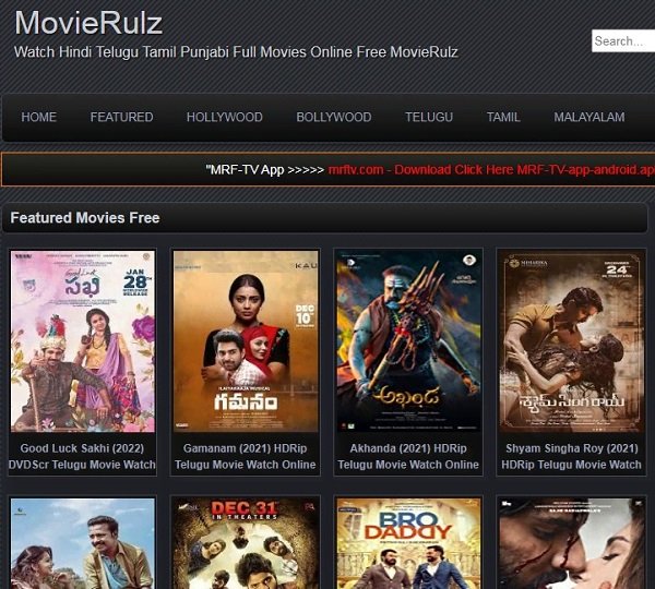 Movierulz Review