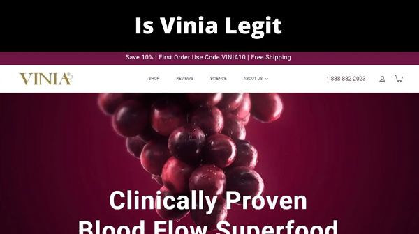 Is Vinia Legit {2022} Is Trusted or Fake Website?