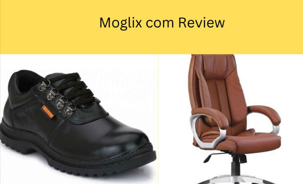 Moglix Review