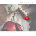 Luveor Review {2023}: Is This Site Is Really Trust Worthy?