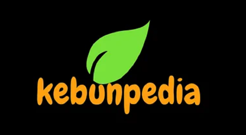 Kebunpedia Scam: What’s The Reactions of The Cipients of Messages?