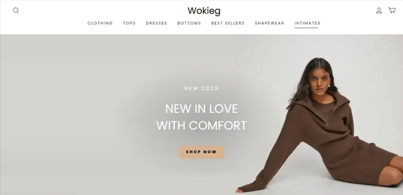 Wokieg Review 2023: Is This A Scam Website Or Not?